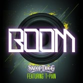 Snoop Dogg ft. T-Pain - Boom
