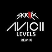 Avicii - Levels (Skrillex Remix)