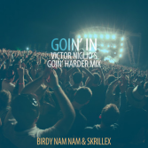Birdy Nam Nam - Goin' In (Skrillex Goin' Hard Mix)
